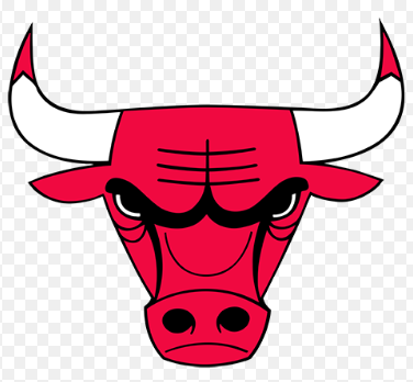 Chicago Bulls Logo